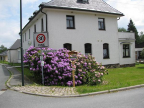Reiterhof & Pension Lienemann Grünbach